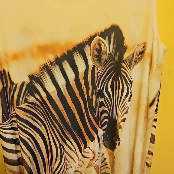 Wild Zebra Print Sleeveless Tunic - Picture 5 of 7